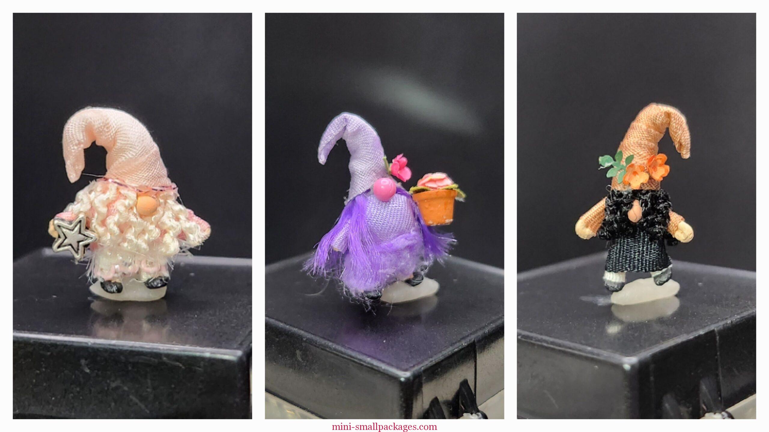 Read more about the article Gone Gnome Crazy